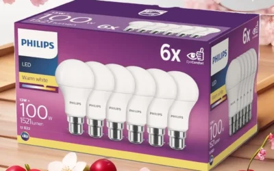 Ampoules LED Économiques et Durables